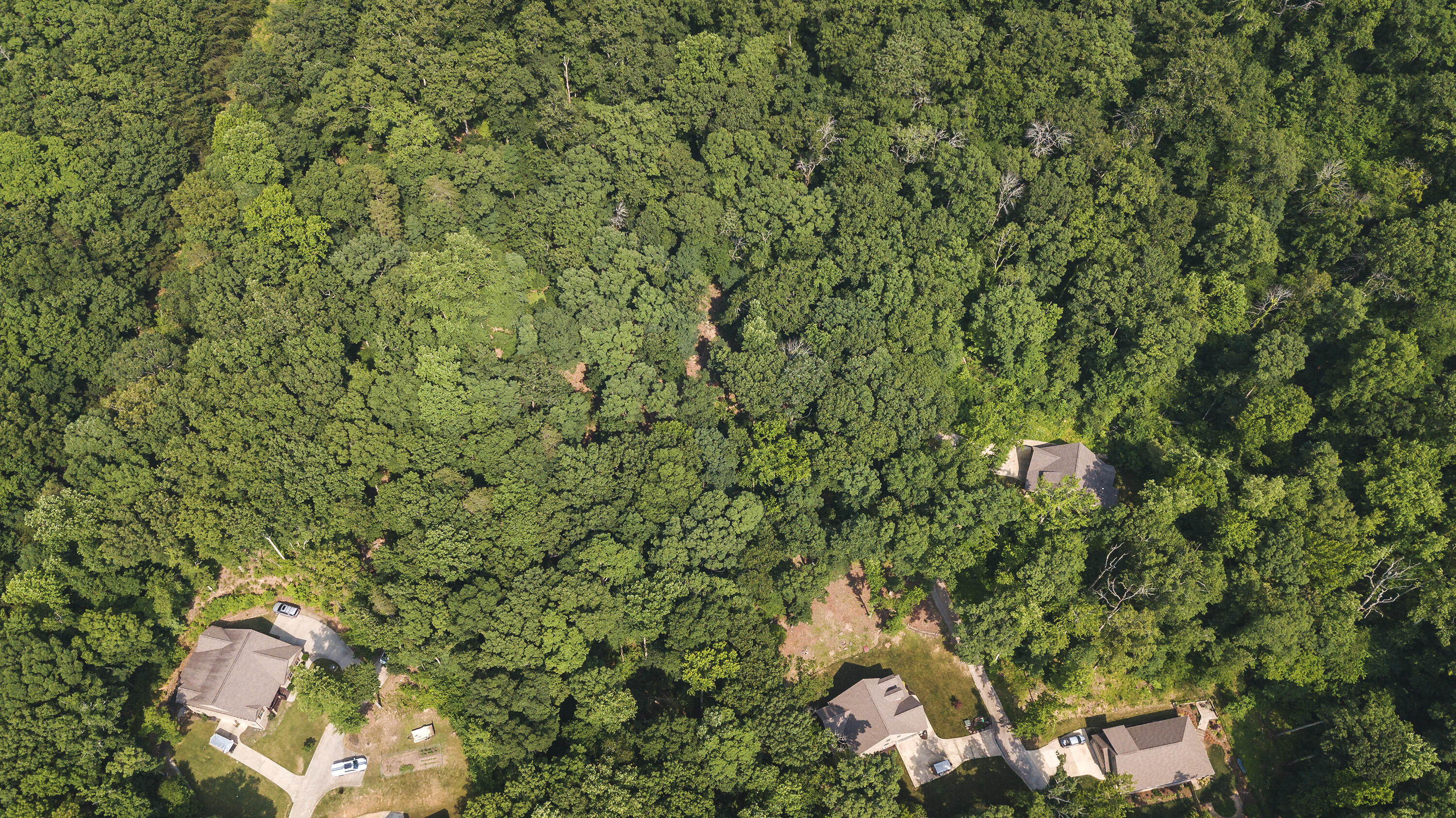 9675 Switchback Trail Ooltewah, TN 37363 - Photo 5 of 24 2822 Waterfall Tr_Aerial 5