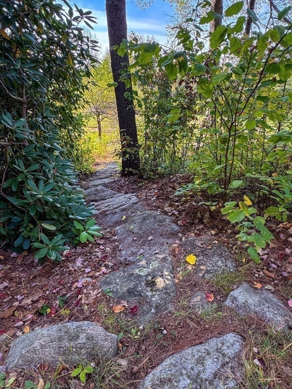 261 Old Wendell Road Northfield, MA 01360 - Photo 36 of 42 a view of outdoor space and garden