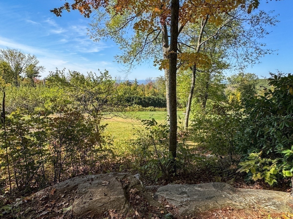 261 Old Wendell Road Northfield, MA 01360 - Photo 37 of 42 a view of a yard with a tree