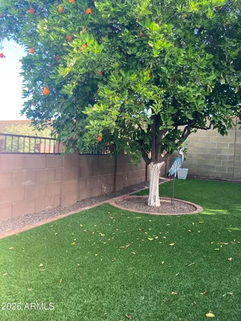 a view of a garden with a tree