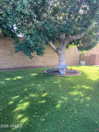 a view of a backyard with large trees