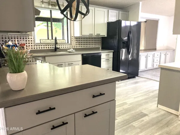 a kitchen with a refrigerator and a potted plant