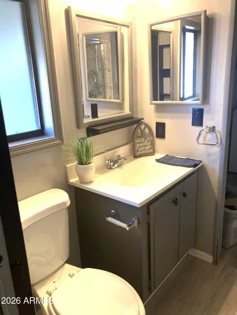 a bathroom with a sink toilet and mirror