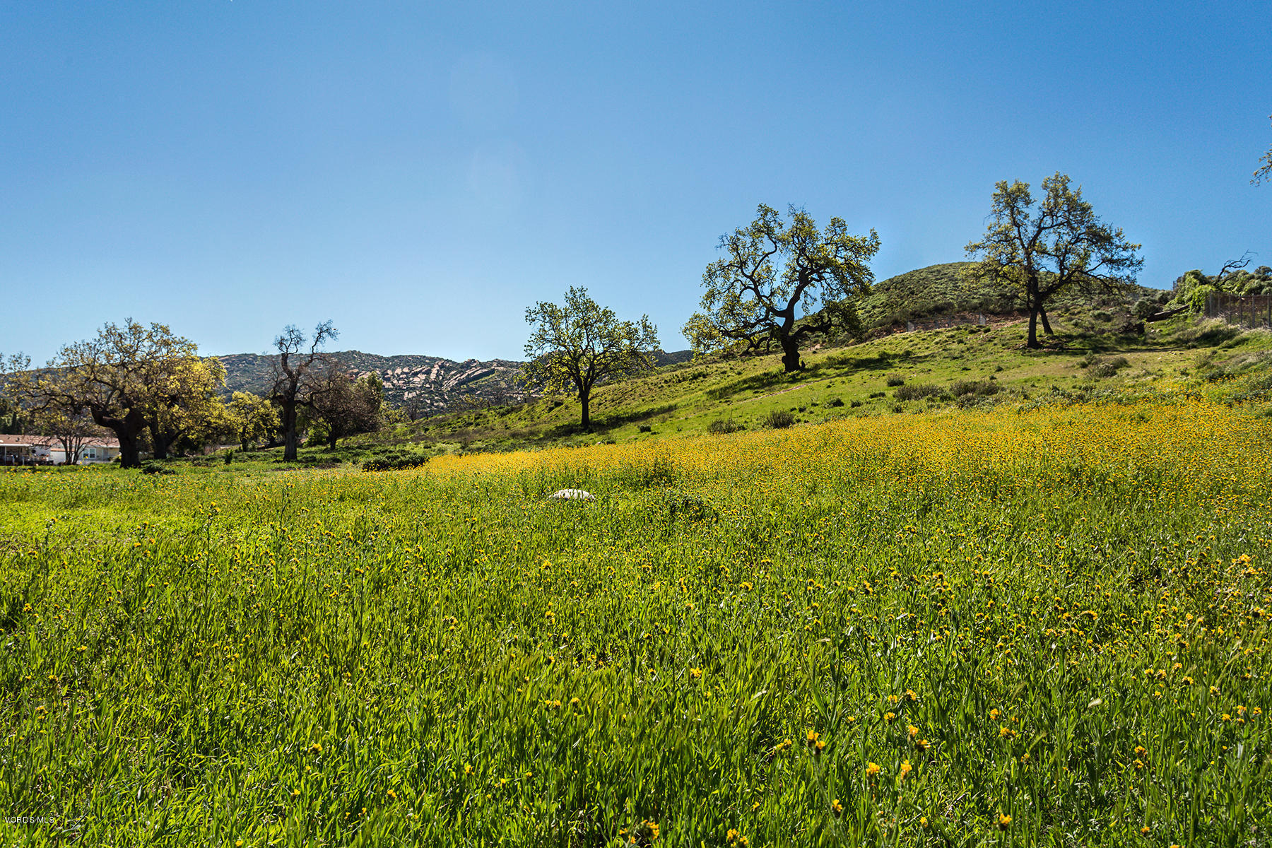 1550 Rory Lane, Unit 223 Simi Valley, CA 93063 - Photo 36 of 36 SimiCountry3-mls