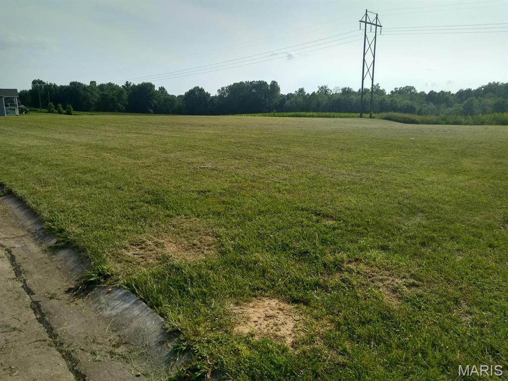 0 Victorian Drive, Unit B Steeleville, IL 62288 - Photo 3 of 3