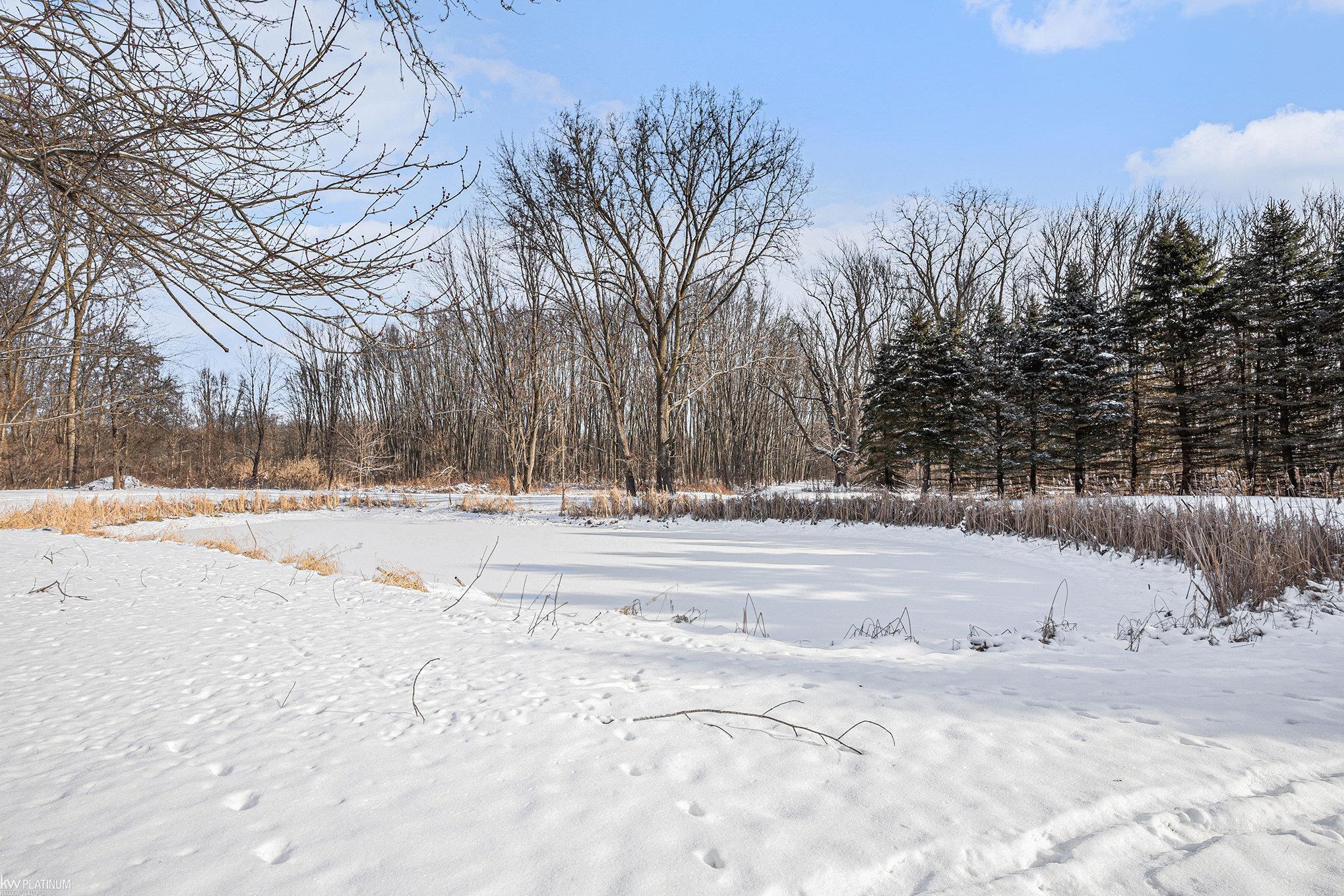8142 Mason Road Yale, MI 48097 - Photo 35 of 44