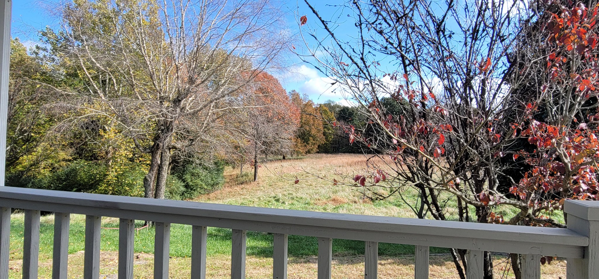 308 Old Columbia Road Dickson, TN 37055 - Photo 26 of 31 Gallery Image 26