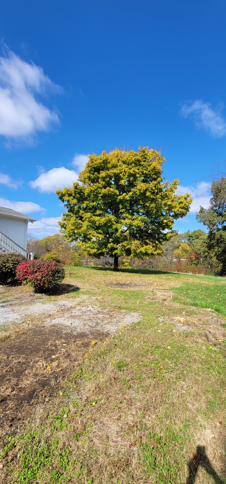 308 Old Columbia Road Dickson, TN 37055 - Photo 30 of 31 Gallery Image 30