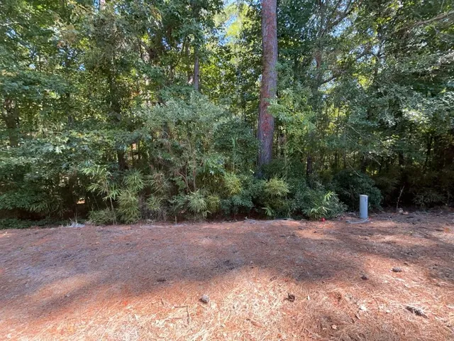 $3,100 | 1544 Oxborough Circle, Mount Pleasant, SC 29466