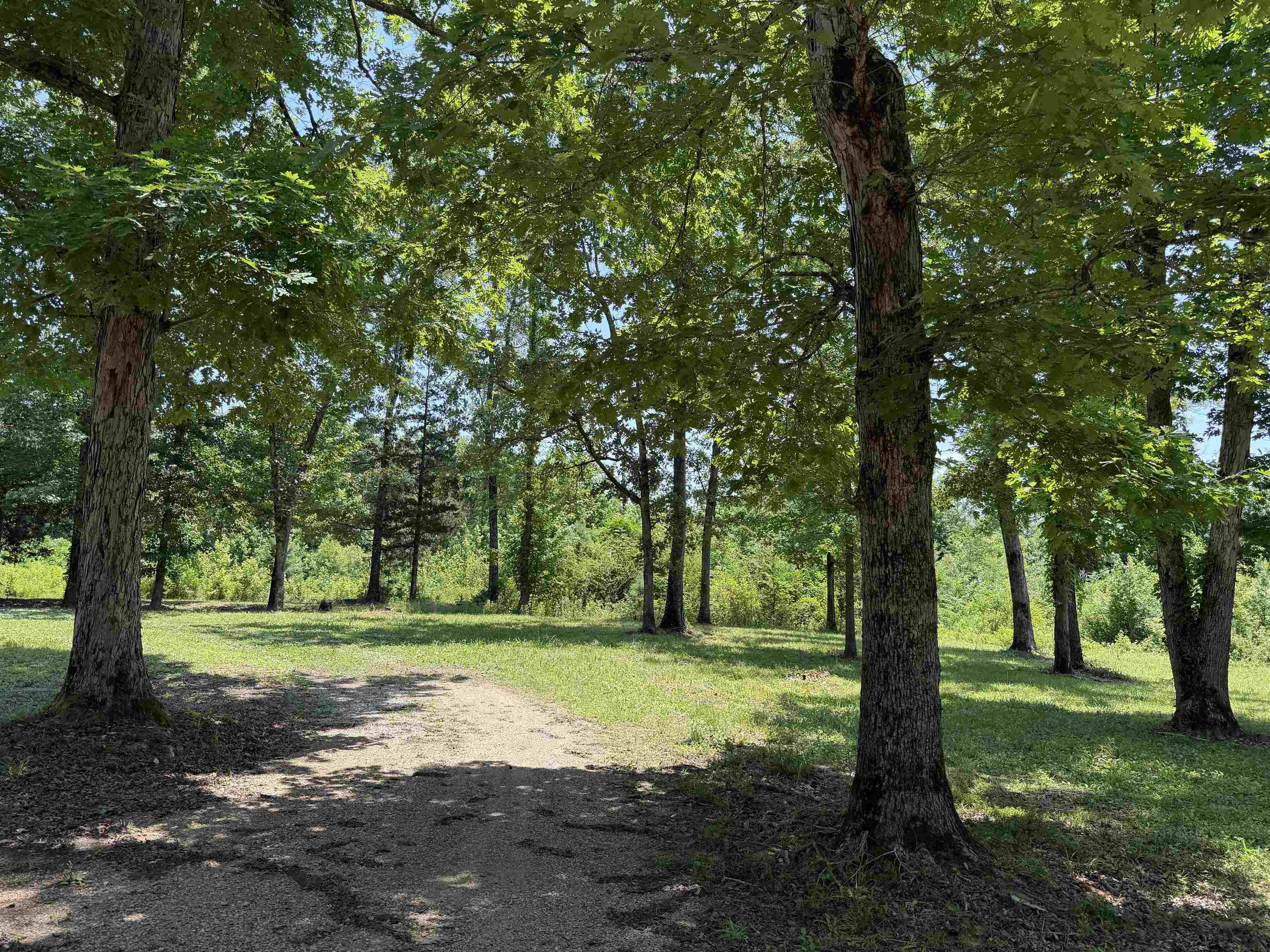 730 Old Union Road Adamsville, TN 38310 - Photo 38 of 40
