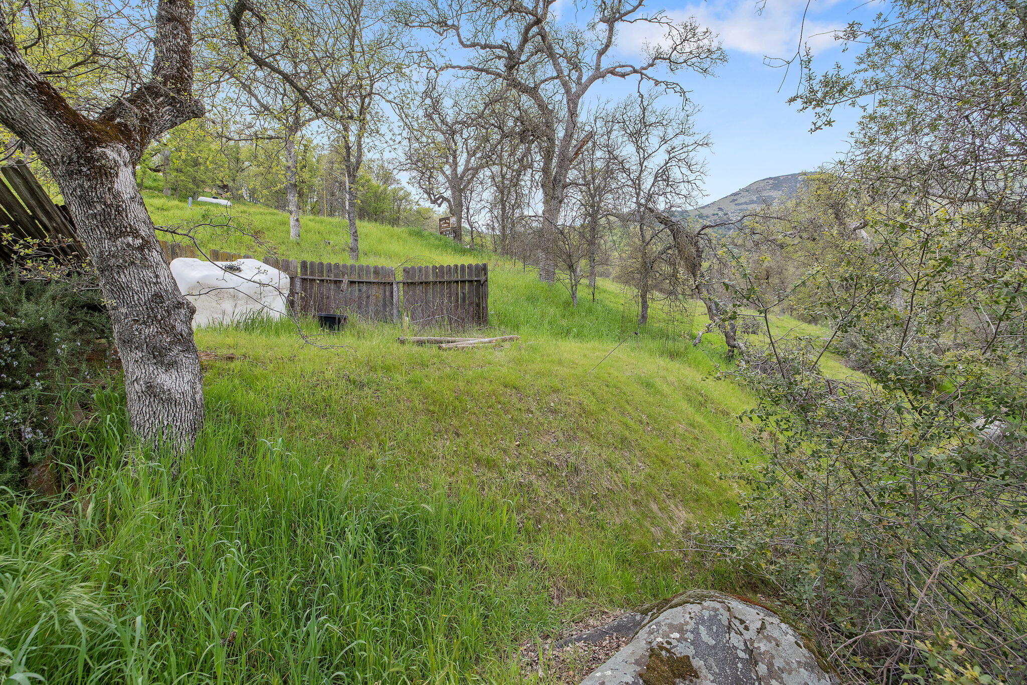43677 Washburn Drive Three Rivers, CA 93271 - Photo 57 of 80 62-web-or-mls-713A9614