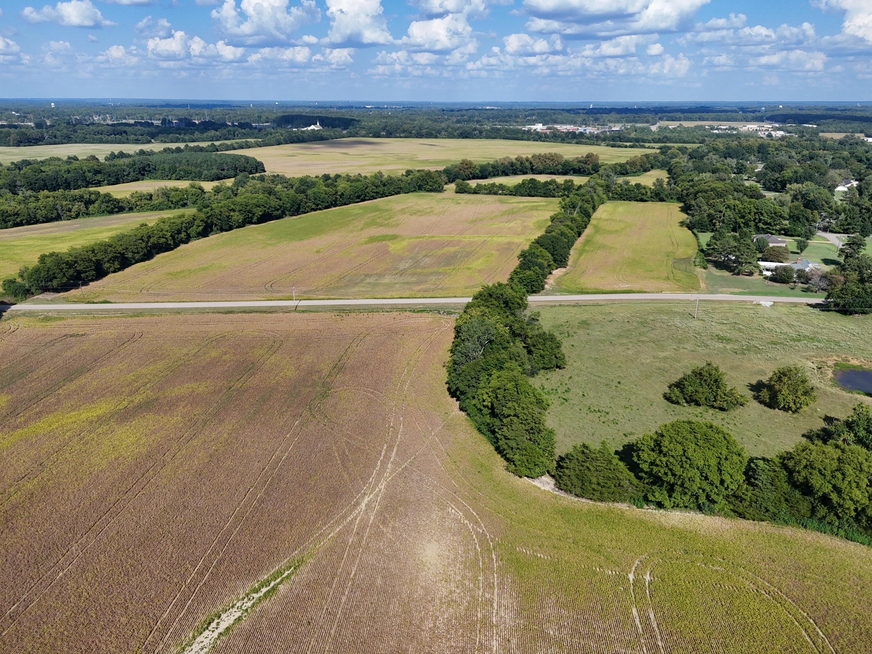 261 Co Road Tupelo, MS 38801 - Photo 15 of 26 Gallery Image 15
