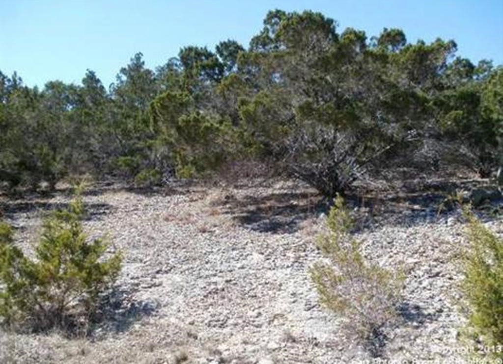 1650 Conestoga Spring Branch, TX 78070 - Photo 2 of 6 a view of lots of trees and bushes