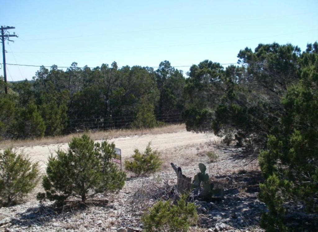 1650 Conestoga Spring Branch, TX 78070 - Photo 3 of 6 a view of a yard with a tree