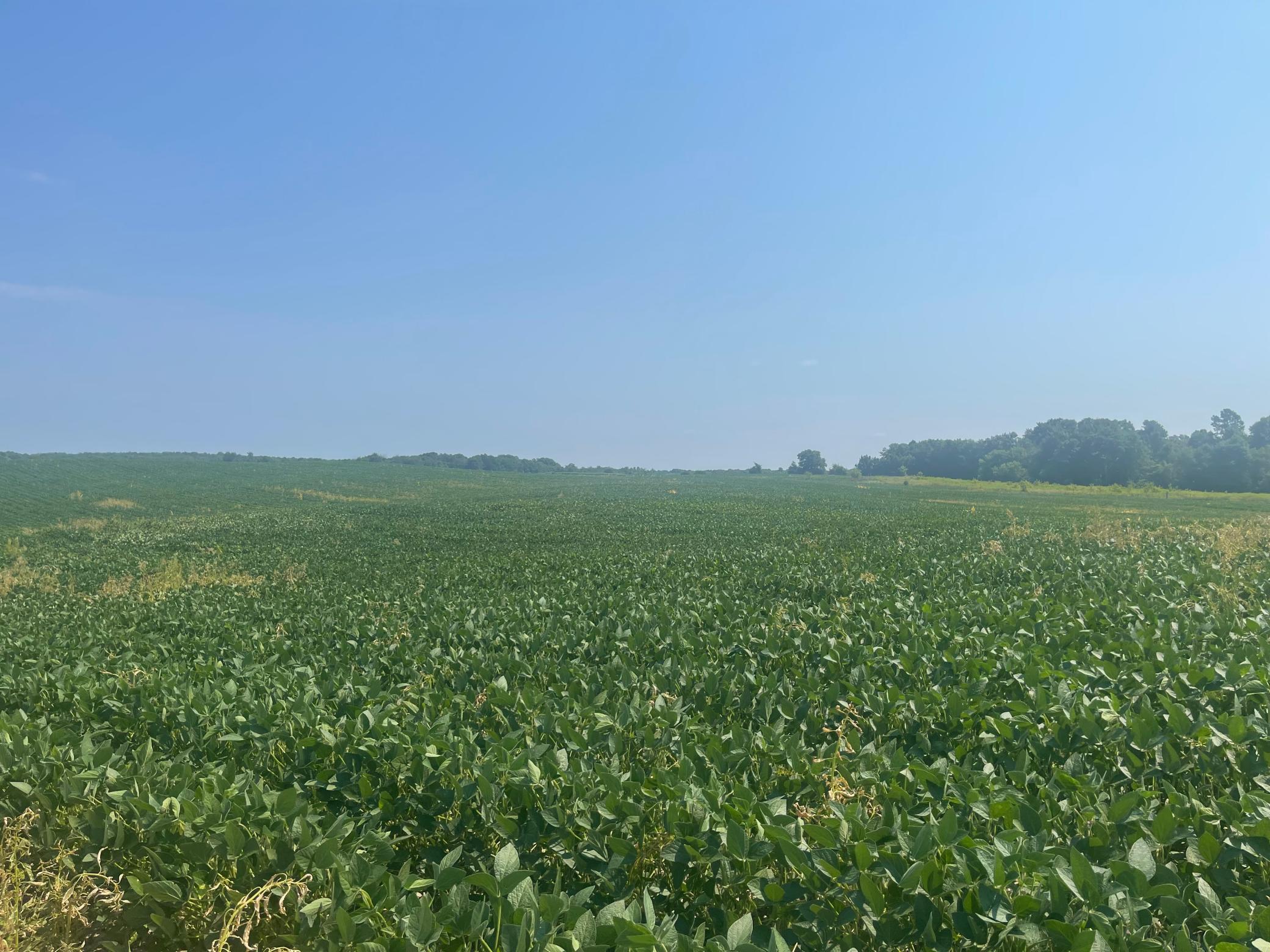 Xxx 190th Street Centuria, WI 54824 - Photo 11 of 11 Gallery Image 11