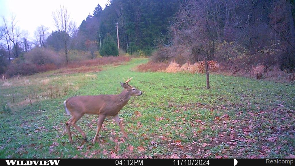 3940 Wilder Road Metamora, MI 48455 - Photo 26 of 42