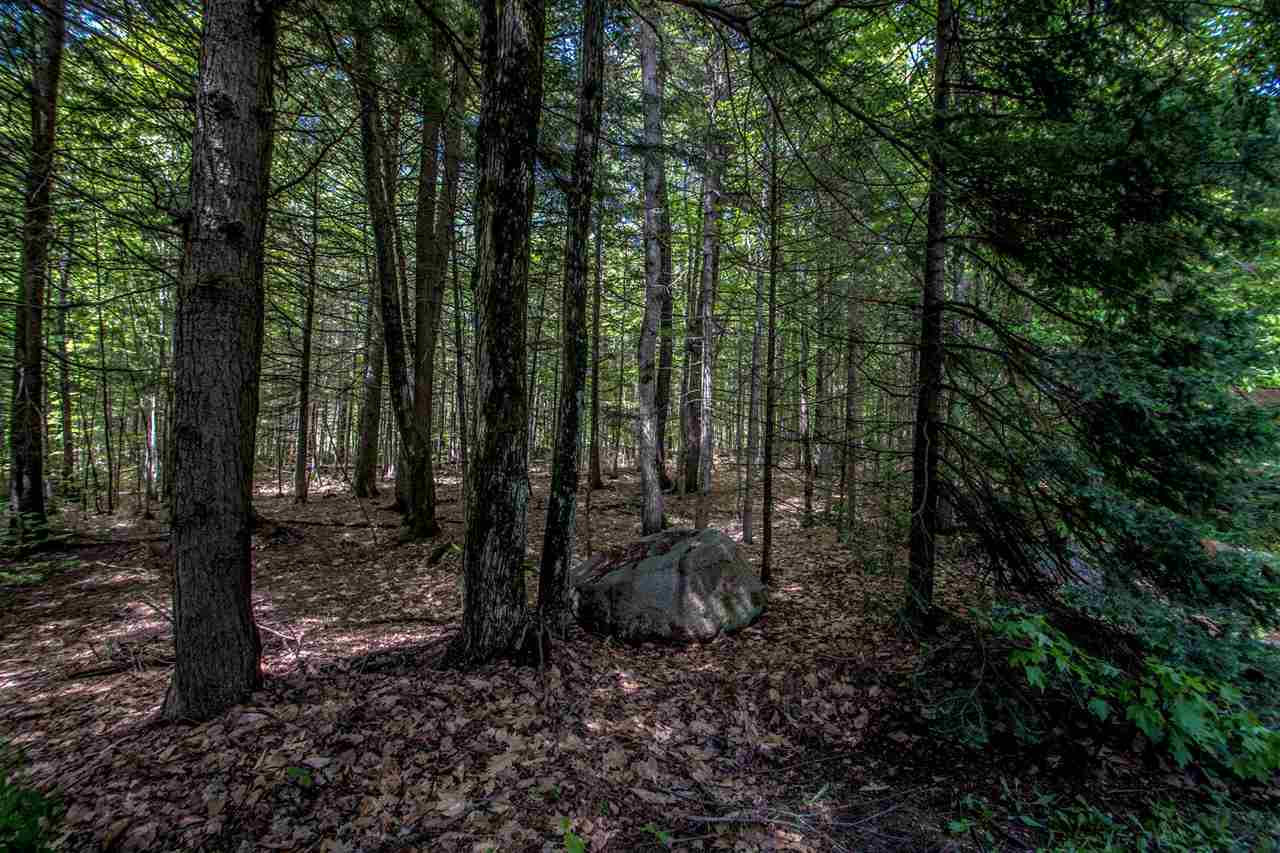 1021 Eaton Road Conway, NH 03818 - Photo 21 of 22