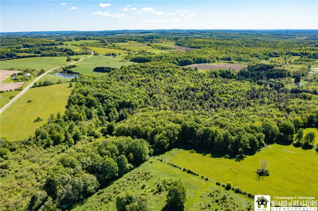 3946 Camp Road Sherman, NY 14781 - Photo 6 of 48