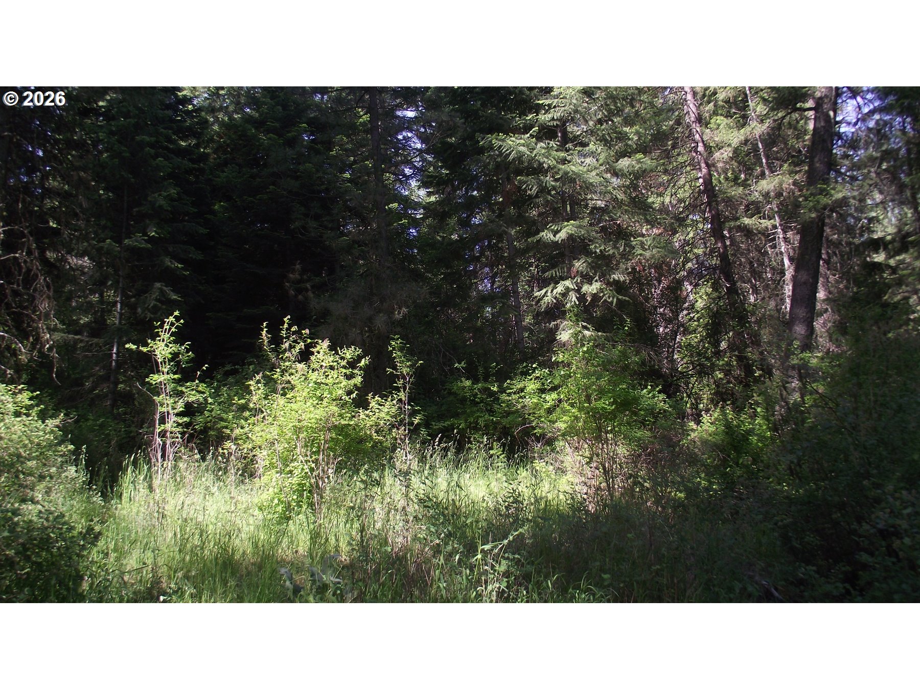 River Canyon Road Imnaha, OR 97842 - Photo 4 of 5