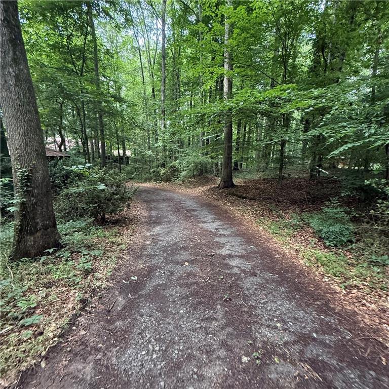 1862 Forrest Road Lawrenceville, GA 30043 - Photo 12 of 17 a view of a forest with trees in the background