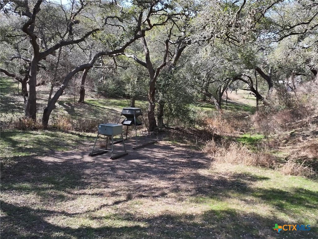 2701 Leary Lane Victoria, TX 77901 - Photo 14 of 48 a backyard of a house with lots of green space