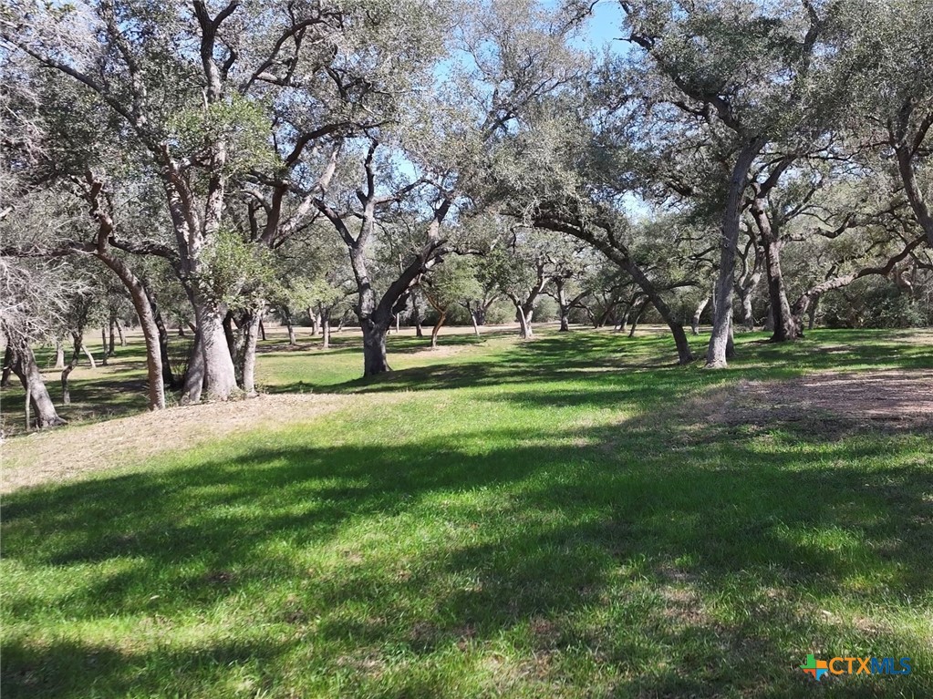 2701 Leary Lane Victoria, TX 77901 - Photo 8 of 48 a view of park space