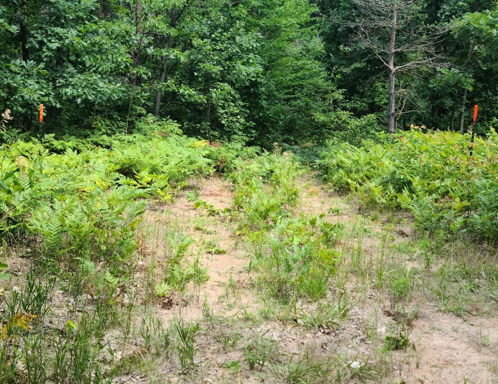 4086 East Buchanan Road Shelby, MI 49455 - Photo 5 of 13 Resized-20220731-130853