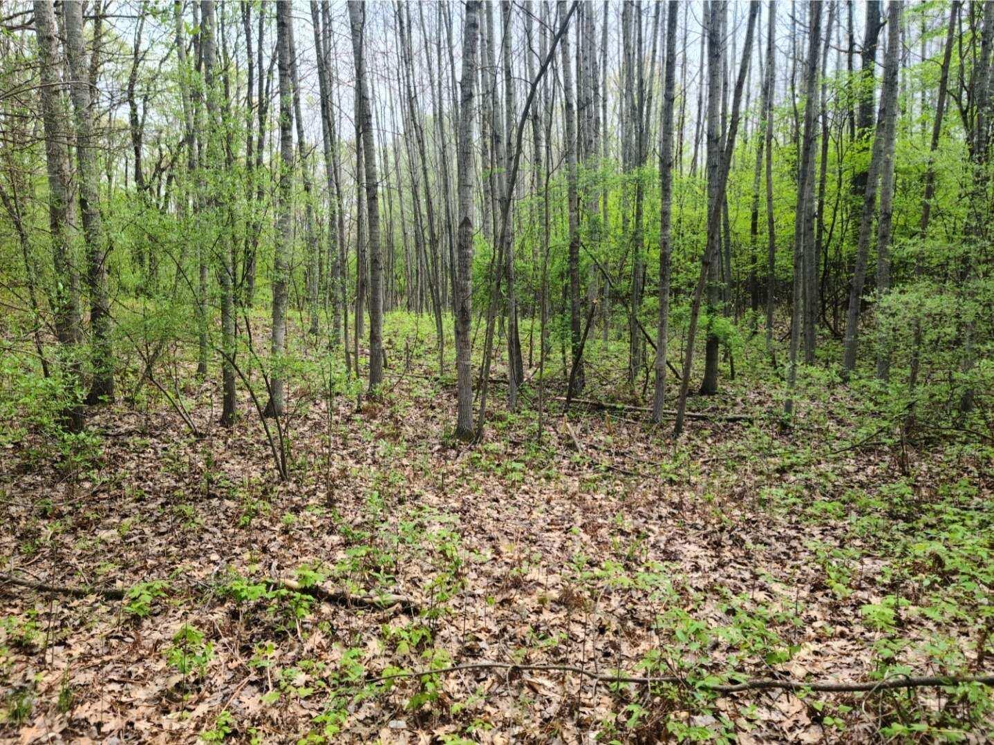 4086 East Buchanan Road Shelby, MI 49455 - Photo 8 of 13 Resized-Screenshot-20220801-081311-Galle