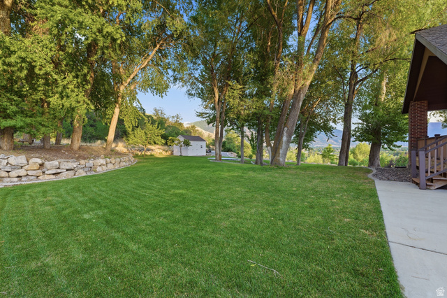441 South 2080th Street East Springville, UT 84663 - Photo 52 of 64 Yard