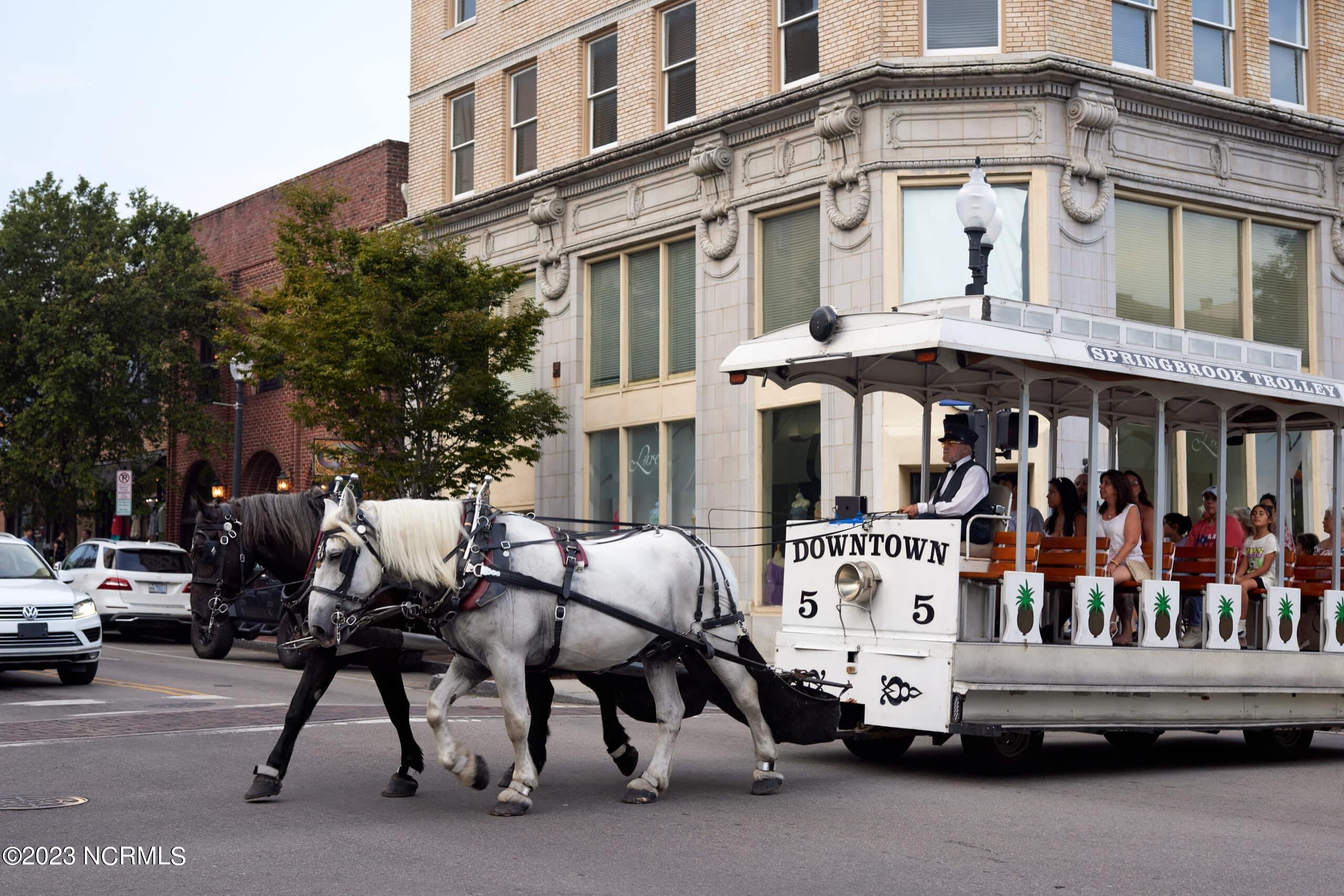 4711 Azalea Landing Drive, Unit THE RHODE Wilmington, NC 28405 - Photo 30 of 35 cordelia-library-287-scaled