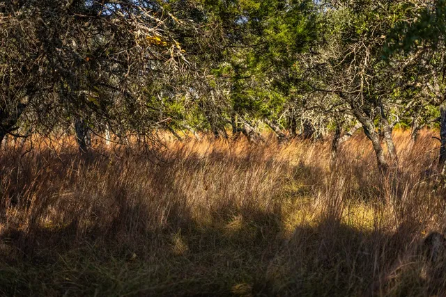 a view of lake with green space