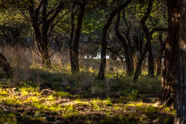 a view of swimming pool of a house