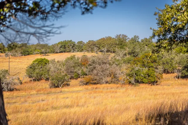 a view of a green field