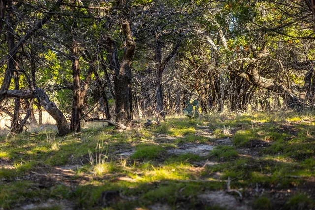 a view of an ocean beach