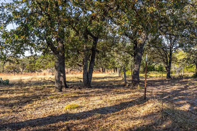 a view of a yard with a tree