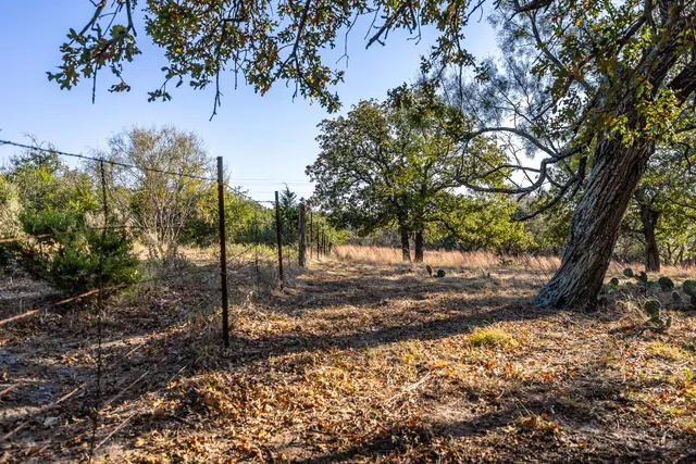 a view of a tree in the middle of a yard