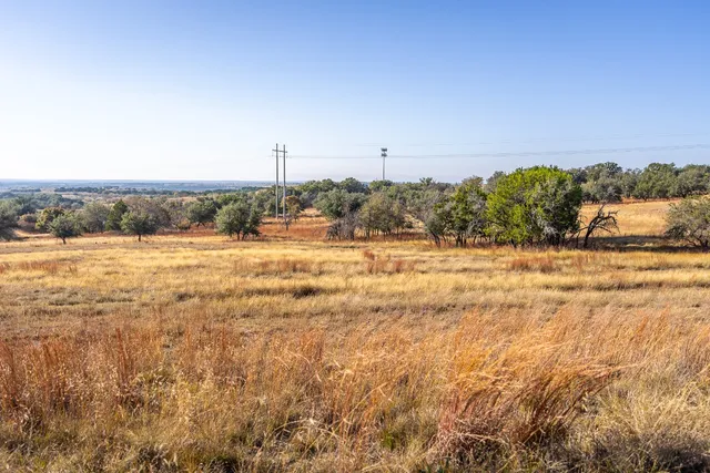 a view of a field with trees in background