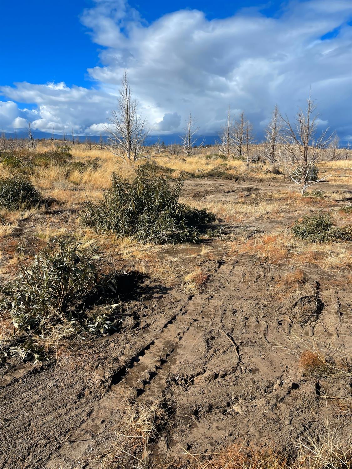 0 Juniper Valley Drive Weed, CA 96094 - Photo 3 of 10 a view of ocean view with beach