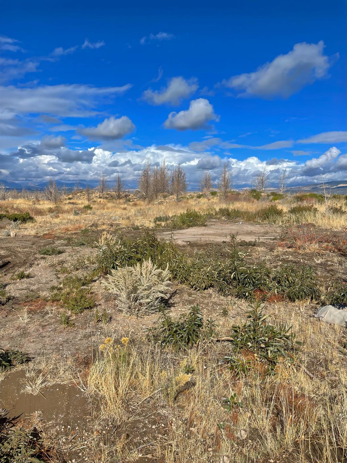 0 Juniper Valley Drive Weed, CA 96094 - Photo 4 of 10 a view of an ocean