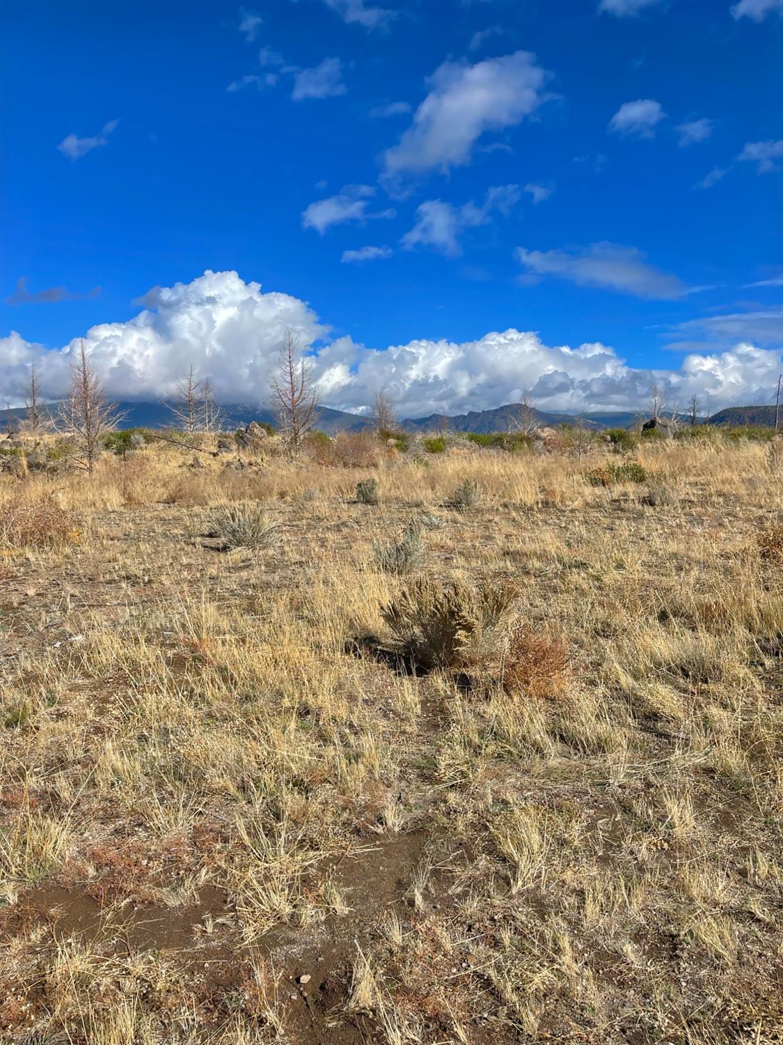 0 Juniper Valley Drive Weed, CA 96094 - Photo 5 of 10 a view of lake and mountain