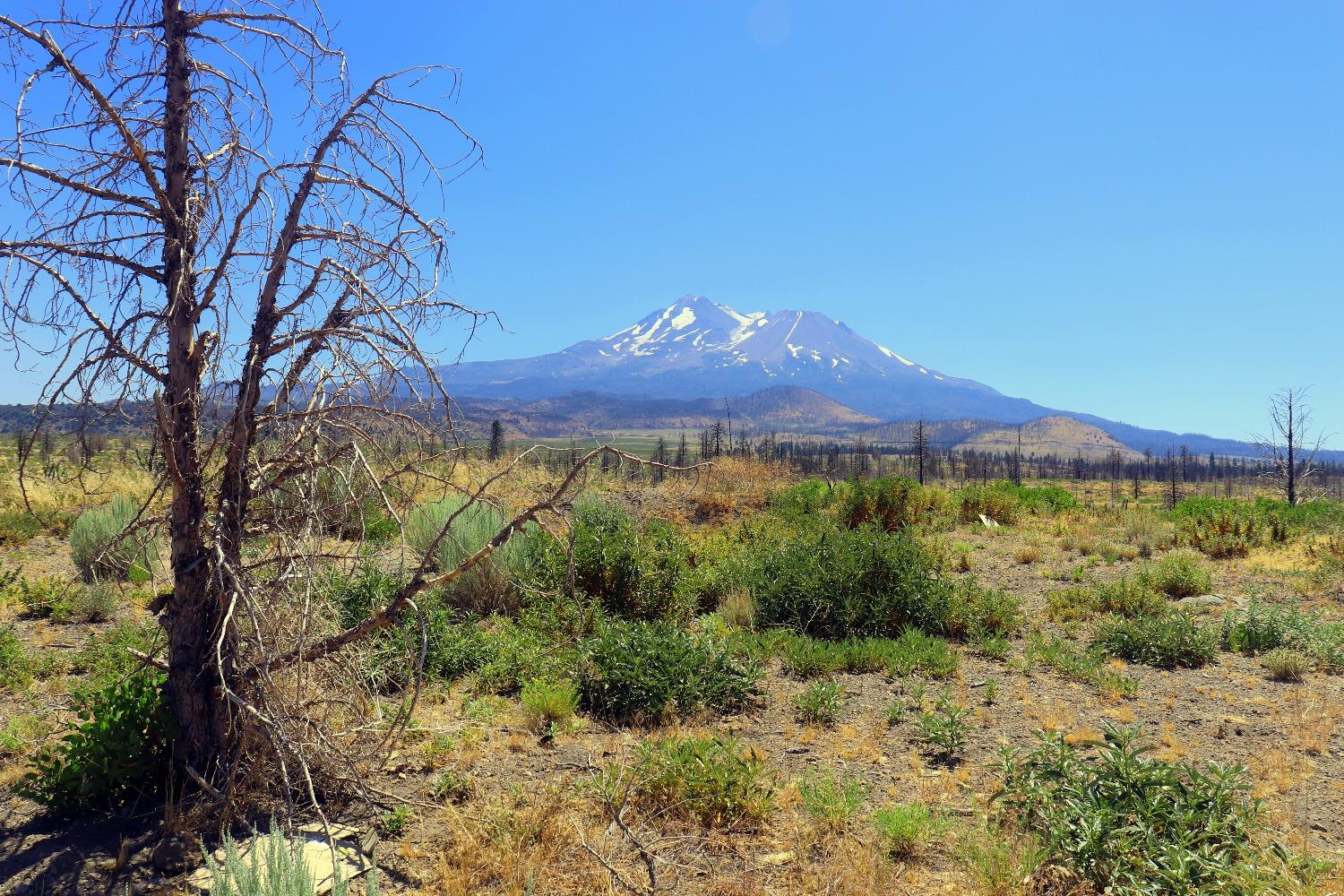 0 Juniper Valley Drive Weed, CA 96094 - Photo 7 of 10 a view of a mountain with a yard