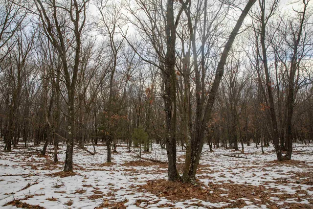 $798,000 | 109-ac 109-ac Fawn Lane, Montello, WI 53949