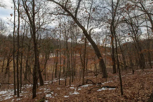 $798,000 | 109-ac 109-ac Fawn Lane, Montello, WI 53949