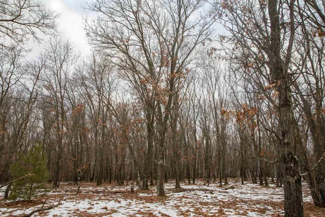 $798,000 | 109-ac 109-ac Fawn Lane, Montello, WI 53949