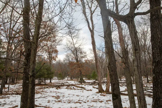 $798,000 | 109-ac 109-ac Fawn Lane, Montello, WI 53949