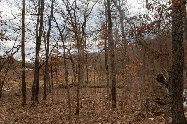 $798,000 | 109-ac 109-ac Fawn Lane, Montello, WI 53949