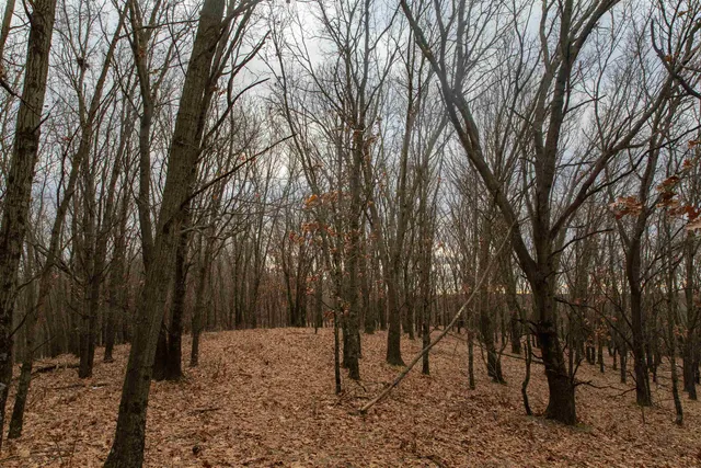 $798,000 | 109-ac 109-ac Fawn Lane, Montello, WI 53949