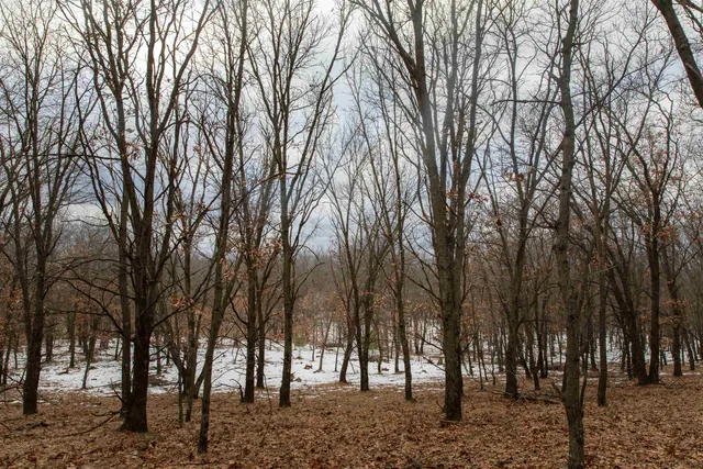 $798,000 | 109-ac 109-ac Fawn Lane, Montello, WI 53949