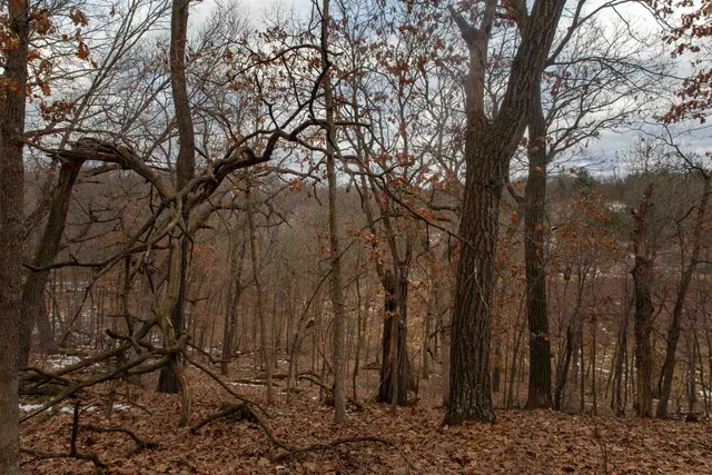 $798,000 | 109-ac 109-ac Fawn Lane, Montello, WI 53949