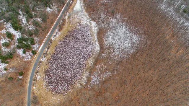 $798,000 | 109-ac 109-ac Fawn Lane, Montello, WI 53949